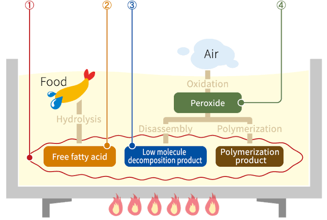 The Degradation of Used Cooking Oil Over Time